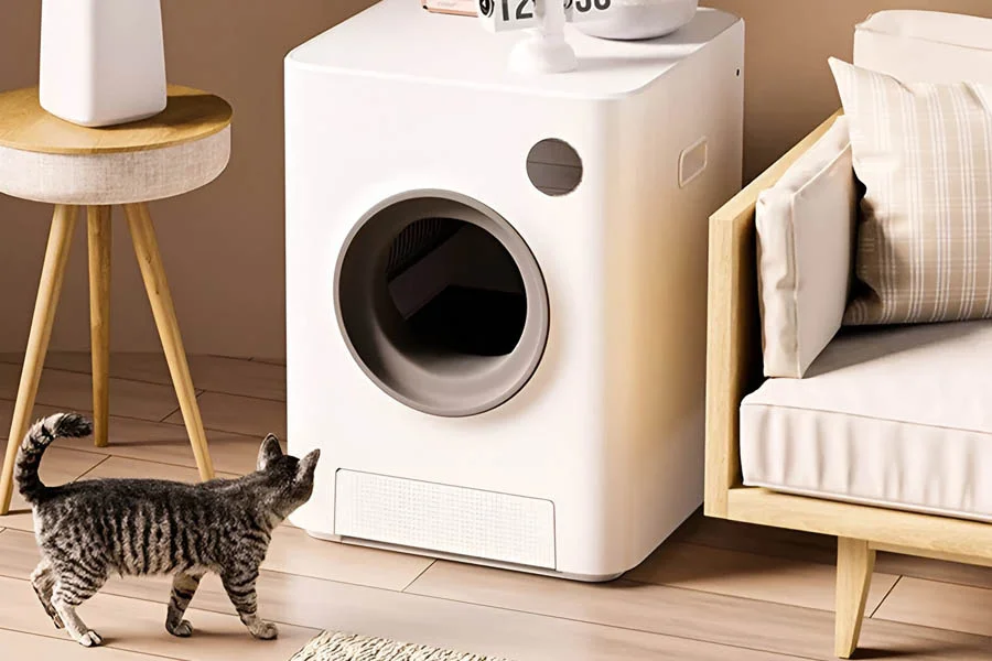 automatic cat boxes